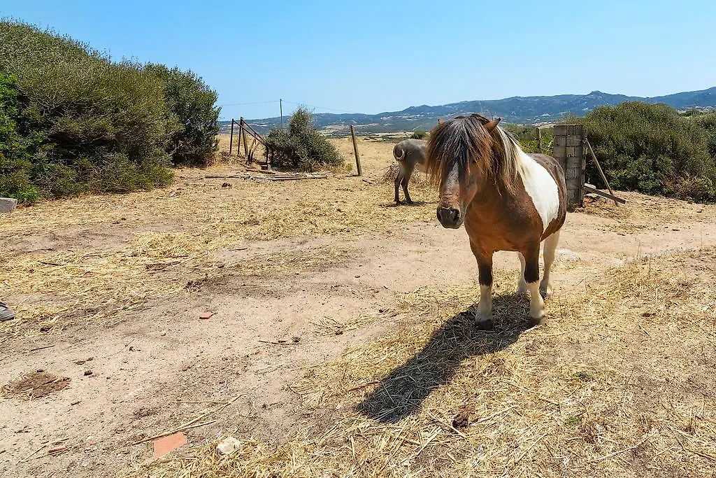 Agriturismo Lu Nodu Greuli Italia