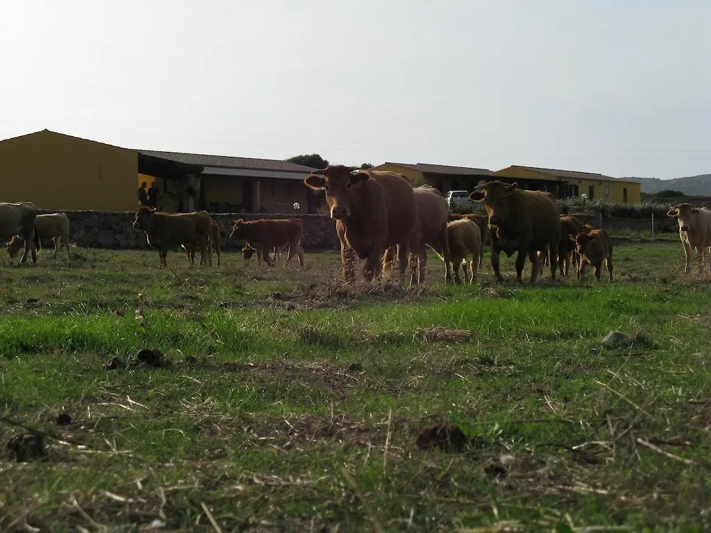 Séjour à la ferme Agriturismo Lu Nodu Greuli